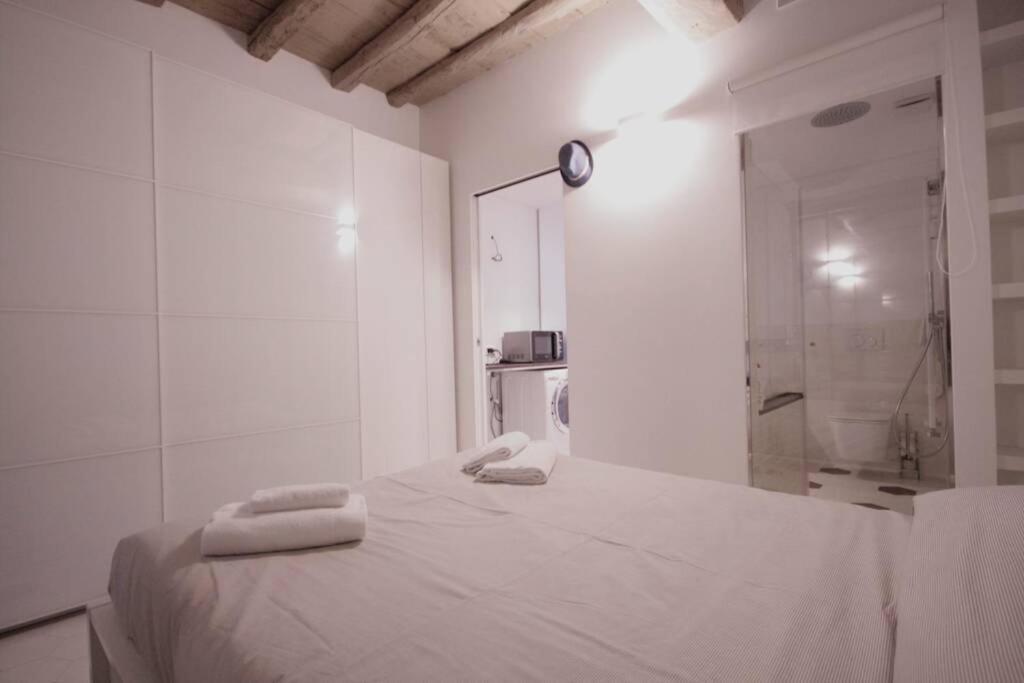 Charmant Maison In Centro トリノ エクステリア 写真